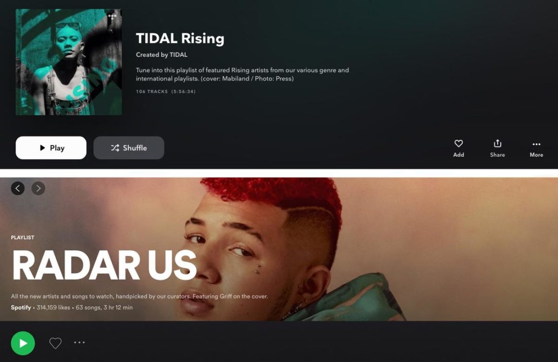Spotify vs  Tidal  Which Is Better  - 46